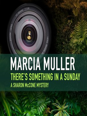 cover image of There's Something in a Sunday